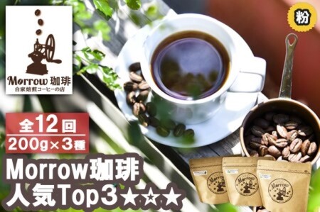 R[q[  12 u茙v̓X  Morrow lCTOP3 Zbg  12 y