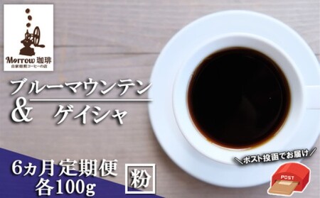 定期便 6ヶ月 自家焙煎 ブルーマウンテンNo.1&ゲイシャ (粉) 各100g ポスト投函 珈琲 コーヒー 6回 お楽しみ