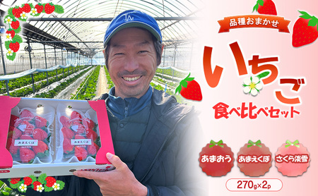 いちご 1箱 (270g×2パック) あまおう あまえくぼ さくら淡雪 (いちご食べ比べセット) ※品種はおまかせ