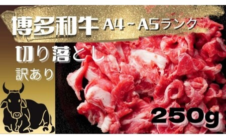 和牛 博多和牛 A4ランク以上 [訳あり]切り落とし 250g 牛 牛肉 お肉 ※配送不可:離島