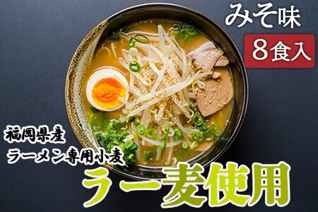 みそ ラーメン 福岡県産 ラー麦使用 みそラーメン 8食入 味噌 たなばたの里