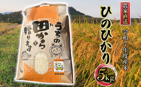  5kg ߘa7NxY Ђ̂Ђ }㏬SY _ƒ  R