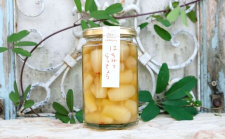 はちみつらっきょう 300g×1本 国産天然はちみつ漬け らっきょう ハニーベル 