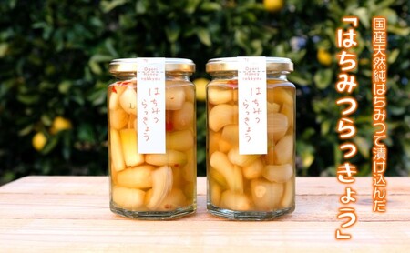 はちみつらっきょう 300g×2本 国産天然はちみつ漬け らっきょう ハニーベル 