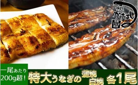 心に染みる「かけはし」の味 特大 うなぎの蒲焼き 白焼き(各1尾) 秘伝のタレ付