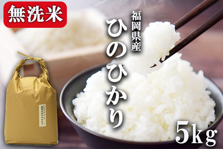 無洗米 5kg 福岡県産 ひのひかり 米