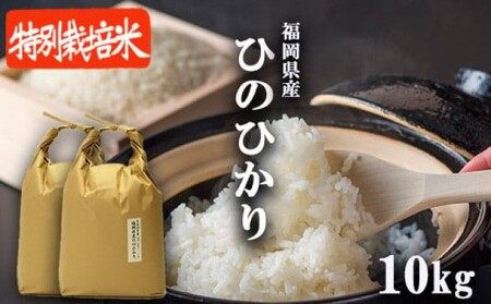 R7年度産 米 10kg 配送当日に精米します 小郡産 特A 特別栽培米 ひのひかり 白米 コメ 福岡県 お米 精米 ご飯 ごはん ヒノヒカリ国産 国産米 グルメ 食品