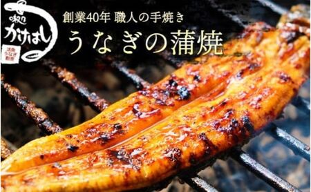 創業40年 全てが職人による手焼き うなぎの蒲焼き 1尾