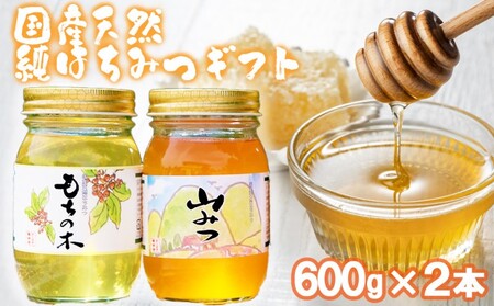 国産天然純はちみつ 600ｇ×2本セッの返礼品 検索結果 | ふるさと納税