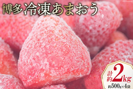   Ⓚ܂ 500g×4 v2kg [GC`Aht[`[Y  }s 21760521] ʕ t[c  C`S ܂ Ⓚ Ⓚ ʎ Xgx[ Wp 