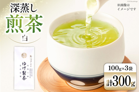   ɏEi[j300g(100g×3) [Esprit  }s 21760772]