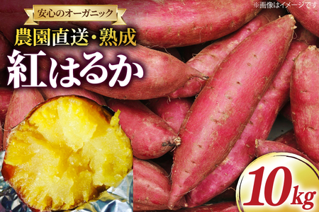 さつまいも 紅はるか 10kg [いしばし農園 福岡県 筑紫野市 21760965] さつま芋 べにはるか 10キロ 芋 お芋 オーガニック 有機 熟成