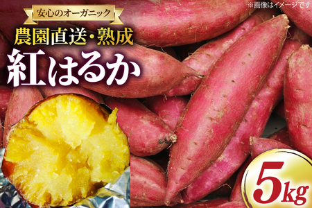 さつまいも 紅はるか 5kg [いしばし農園 福岡県 筑紫野市 21760964] さつま芋 べにはるか 5キロ 芋 お芋 オーガニック 有機 熟成