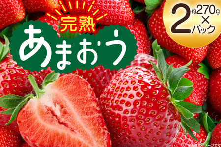 [期間限定発送] いちご 完熟 あまおう 約270g 2p [mhshops 福岡県 筑紫野市 21761027] イチゴ 苺 フルーツ 果物 くだもの 2パック