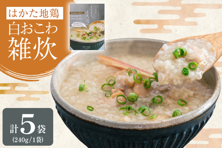 レトルト 白おこわ 雑炊 240g 5袋 計 1.2kg [エニクック 福岡県 筑紫野市 21761348]
