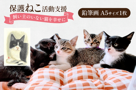 保護猫 支援 猫保護活動への支援 鉛筆画 A5 [地域ねこサポート会ちくしの 福岡県 筑紫野市 21761294]