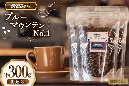 コーヒー豆 ブルーマウンテン 100g 3パック 計 300g [珈琲Chiba 福岡県 筑紫野市 21761418]