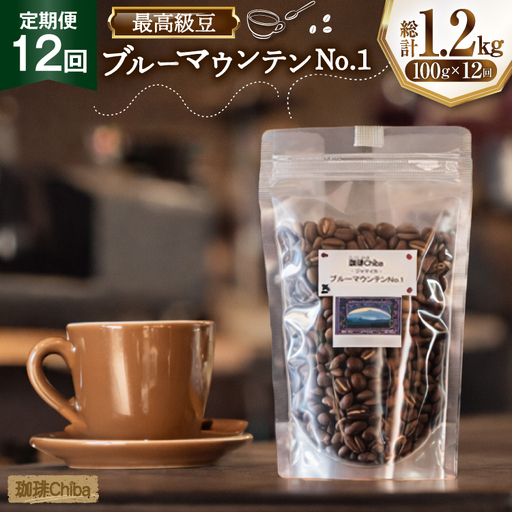 【12回定期便】 コーヒー豆 ブルーマウンテン 100g [珈琲Chiba 福岡県 筑紫野市 21761426]
