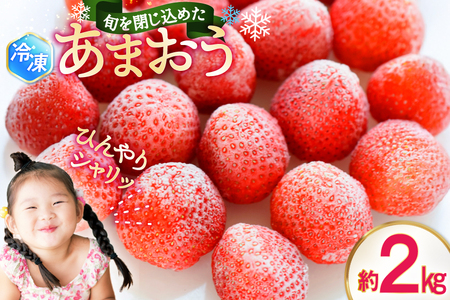 いちご 冷凍 あまおう 約 2kg [地域商社ふるさぽ 福岡県 筑紫野市 21761438]