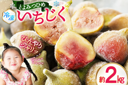 いちじく 冷凍 とよみつひめ 約 2kg [地域商社ふるさぽ 福岡県 筑紫野市 21761437]
