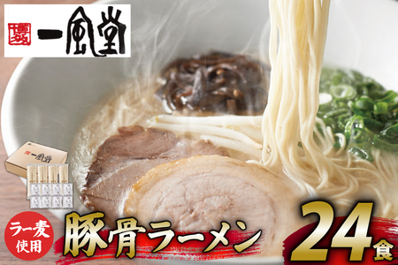 ラーメン 一風堂 とんこつラーメン 白丸 ラー麦麺 スープ 24食 セット [地域商社ふるさぽ 福岡県 筑紫野市 21761443]