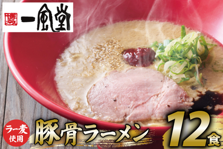 ラーメン 一風堂 とんこつラーメン 赤丸新味 ラー麦麺 スープ 12食 セット [地域商社ふるさぽ 福岡県 筑紫野市 21761441]