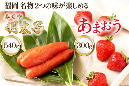 [期間限定発送] 福岡 名物 2つの味が楽しめる ! あまおう 300g×1 & ふくや味の明太子 540g×1 [南国フルーツ 福岡県 筑紫野市 21760206] 苺 いちご イチゴ 明太子 フルーツ 果物 くだもの セット ふくや めんたい めんたいこ 冷蔵