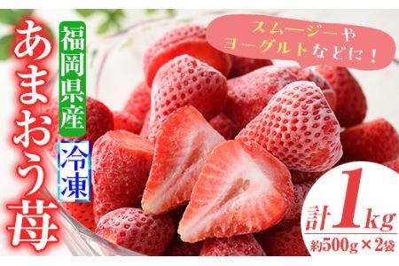 冷凍あまおう苺(約500g×2袋・計1kg)いちご イチゴ 冷凍 シャーベット 冷凍いちご ヨーグルト ジャム [離島配送不可][ksg0046][南国フルーツ]