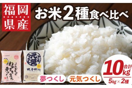 果物屋さんが選んだ米食べ比べ「夢つくし&元気つくし」(5kg×2種・合計10kg)お米 白米 10キロ ごはん ご飯 常温 常温保存[ksg0168][南国フルーツ]