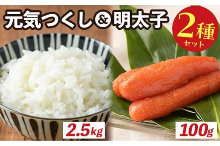 ご飯のおともセット(精米元気つくし2.5kg+明太子100g)米 お米 白米 コシヒカリ キヌヒカリ 明太子 めんたいこ たらこ ごはんのお供 魚卵 魚介 海鮮[離島配送不可][ksg0170][南国フルーツ]