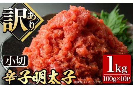 󂠂E؂q喞Ihqq (100g×10PEv1kg) ߂񂽂 ؎q  pbN ƒp ꂱ т̂ ܂ y CN pX^  zsyksg0518zyM