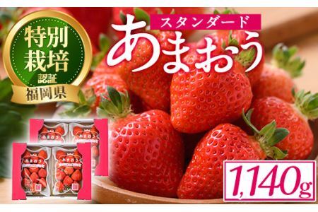 [予約受付中!2024年12月中旬より順次発送予定]うるう農園のスタンダードあまおう(計1.14kg・285g×4P) ふるさと納税 春日市 特産品 苺 いちご イチゴ 果物 フルーツ 国産 福岡県 ヨーグルト ジャム スムージー 冷蔵 特別栽培[離島配送不可][ksg1219][うるう農園]