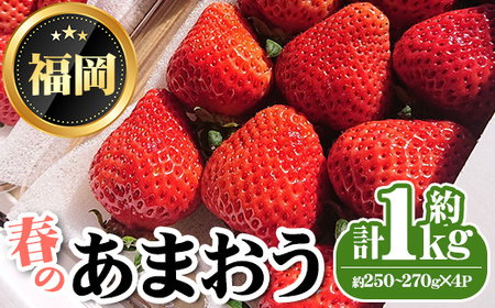 s\tEʌ聄2026N3炨͂It̂܂(v1kgE250`270g×4P)   C`S t[c ʕ   XC[c zsyksg1250zyTHE FARM_straw
