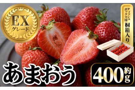 [先行予約受付中・数量限定]2026年2月からお届け!プレミアムあまおうEX ティッシュボックス用特別仕様の桐箱入り(約400g) 苺 いちご イチゴ フルーツ 果物 くだもの 手作り スイーツ ギフト 贈答 [離島配送不可][ksg1251][THE FARM_strawberry]