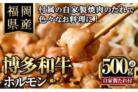 博多和牛もつ鍋用ホルモン 自家製焼肉のたれ付(500g) 牛肉 和牛 博多和牛 国産 ホルモン もつ モツ もつ鍋 [離島配送不可][ksg1291][くしだ企画]
