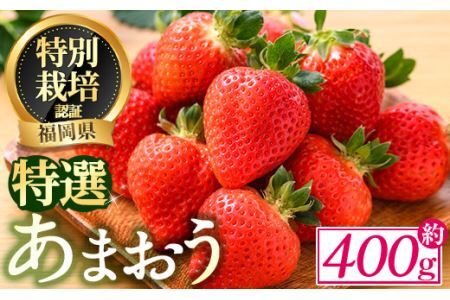 [予約受付中!2025年12月中旬より順次発送予定]特選あまおう(約400g) 苺 いちご イチゴ 国産 福岡県 果物 フルーツ ヨーグルト ジャム スムージー 冷蔵 特別栽培[離島配送不可][ksg1318][うるう農園]