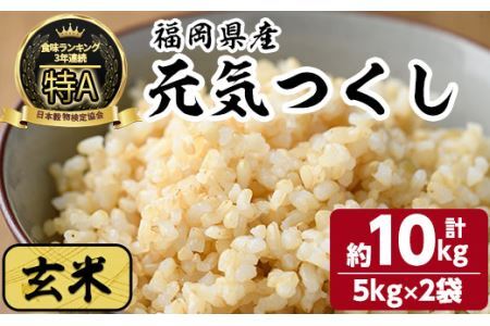玄米 元気つくし(計10kg・5kg×2袋) お米 こめ コメ 玄米 ブランド米 10キロ ごはん ご飯 常温 常温保存[ksg1330-B][おどろきっちん]