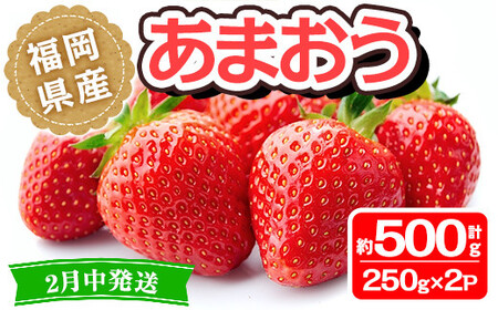 [先行予約受付中!2025年2月中に発送予定]福岡県産 あまおう(計約500g・250g×2P)いちご 苺 フルーツ 果物 くだもの 冷蔵 [離島配送不可][ksg1491][くまふる春日]