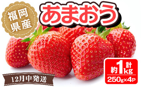 ＜先行予約受付中！2025年12月より順次発送予定＞福岡県産 あまおう(計約1kg・250g×4P)いちご 苺 フルーツ 果物 くだもの 冷蔵 ＜離島配送不可＞【ksg1488】【エフビーネット】