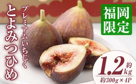 [先行予約受付中!2025年8月上旬〜2025年10月中旬に順次発送予定]いちじく とよみつひめ(約300g×4パック) [離島配送不可][ksg1229][南国フルーツ]