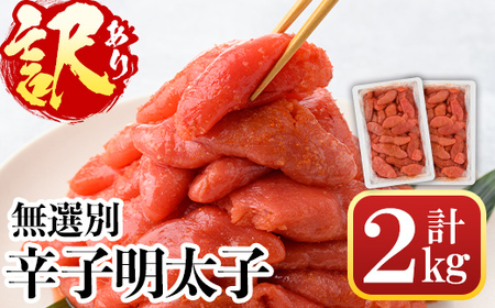 󂠂EIʁhqq(v2kg) q ߂񂽂 Ⓚ CN  ƒpzsyksg1537zyˎXz