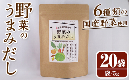 野菜のうまみだし(100g・5g×20袋) だしパック 出汁 出汁パック ダシ 椎茸 しいたけ シイタケ キャベツ 人参 大根 玉ねぎ ごぼう 個包装 小分け 離乳食 介護食 炊き込みご飯 鍋 調味料不使用 塩分不使用 保存料 常温 常温保存[ksg1585][宝山九州]