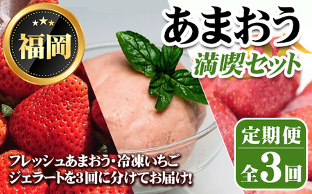 [先行予約受付中・数量限定][定期便・全3回(3月・6月・8月)]2026年3月からお届け!あまおう満喫セット(あまおう:計約1kg・ジェラート2種:計720ml・冷凍いちご:1.5kg) 苺 定期便 [離島配送不可][ksg1718][THE FARM_strawberry][ksg1718][THE FARM_strawberry]