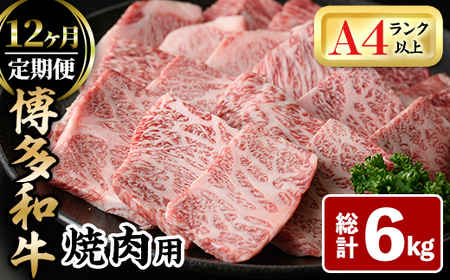 S12()aēp(v6kg) јa Y BBQ ϔ  Mtg v[g ցzsyksg1721zyMEATPLUSz