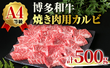 A4ランク博多和牛カルビ焼肉用(計500g) 牛肉 国産 福岡県 黒毛和牛 和牛 冷凍 カルビ いとしまミートデリ工房[離島配送不可][ksg1708][徳永商店]