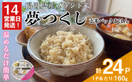 PREMIUM pbN͂ (160g×24H)    Y Y uh pbN͂160g ȒP Z ͂ ` 퉷 kCEEzsyksg1783z