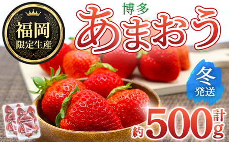 [先行予約受付中!2025年12月上旬〜2026年1月下旬に順次発送予定] 博多あまおう・冬 (計約500g) いちご 苺 フルーツ 果物 くだもの 福岡限定 家庭用 冷蔵[離島配送不可][ksg1736][農産物直売所ほたるの里]