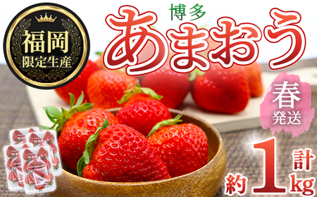 [先行予約受付中!2026年2月上旬〜2026年4月下旬に順次発送予定] 博多あまおう・春 (計約1kg) いちご 苺 フルーツ 果物 くだもの 福岡限定 家庭用 冷蔵[離島配送不可][ksg1740][農産物直売所ほたるの里]