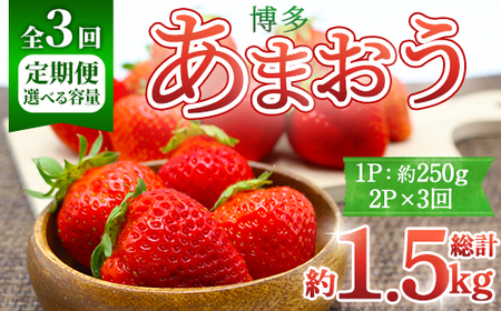 [全3回定期便・先行予約受付中!2026年2月上旬〜2026年4月下旬に順次発送予定] 博多あまおう (総計約1.5kg) いちご 苺 フルーツ 果物 くだもの 福岡限定 家庭用 冷蔵 定期便 [離島配送不可][ksg1742][農産物直売所ほたるの里]