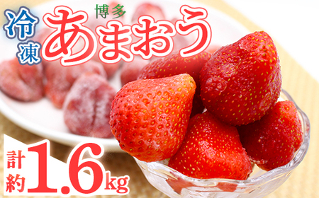 冷凍 博多あまおう (計約1.6kg) いちご イチゴ 苺 あまおう 冷凍いちご イチゴ 国産 福岡県 果物 フルーツ アイス シャーベット ジャム スムージー フルーツ [離島配送不可] [ksg1744][農産物直売所ほたるの里]